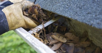 Fall Cleanup - Leaves in Gutter