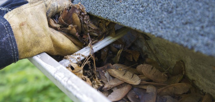 Fall Cleanup - Leaves in Gutter