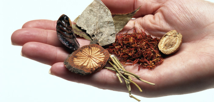Herbal Medicine: History of Chinese Herbal Medicine ???????????????