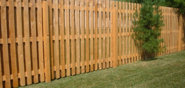 Privacy Fence