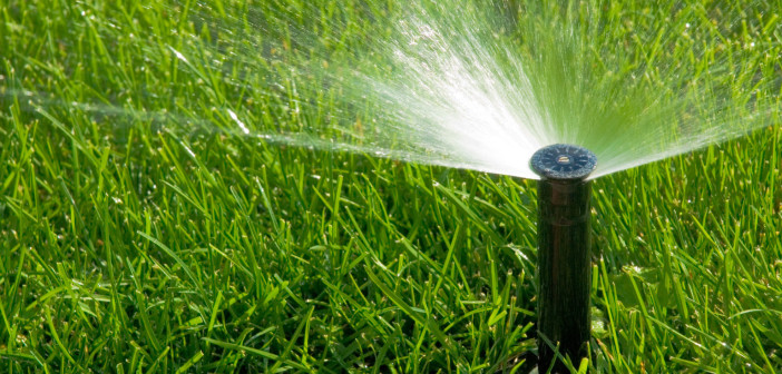 Drainage System: Too Much Water Can Hurt Your Yard Watering Yard