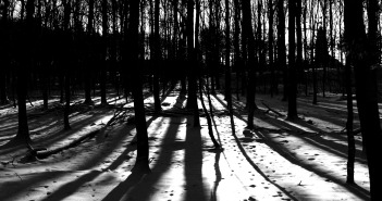 Seasonal Affective Disorder