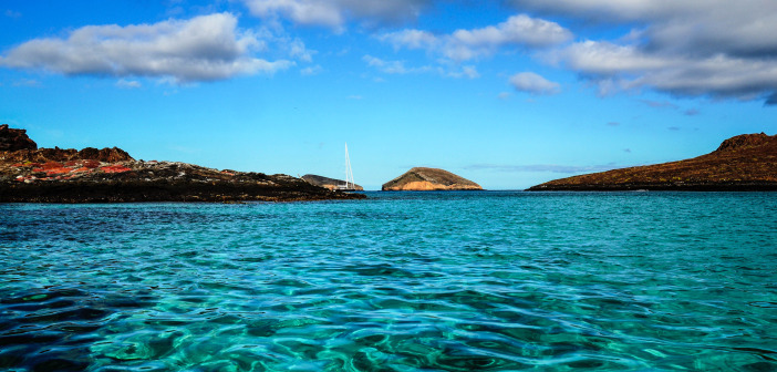 Why A Galapagos Cruise Needs to Be Your Next Vacation Galapagos Islands