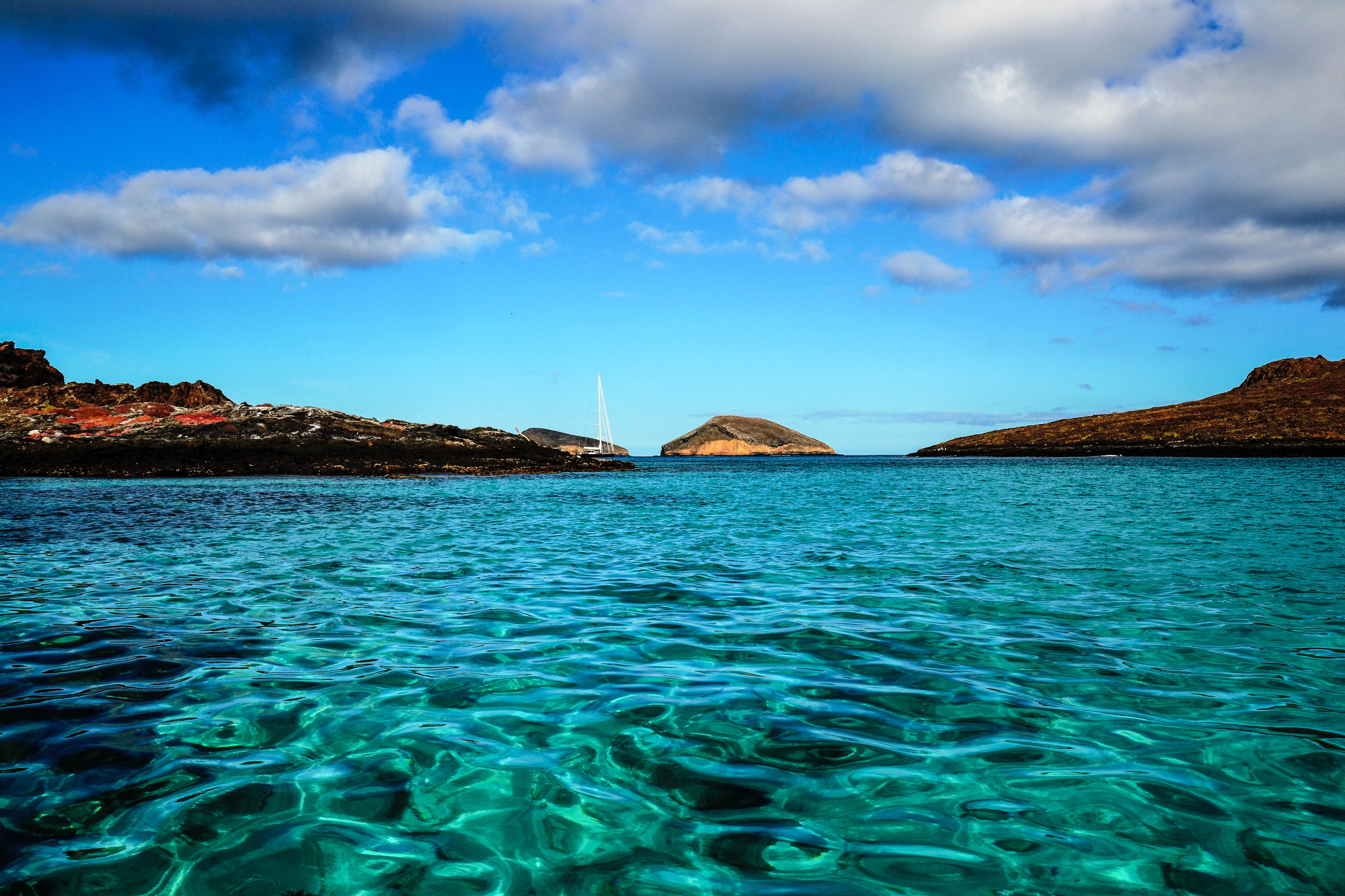 Why A Galapagos Cruise Needs to Be Your Next Vacation