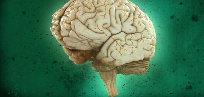 What Memory Test Results Can Tell You Brain Testing