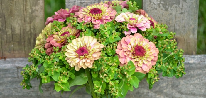 Summertime Flower Arrangements; What are the Options? Flower Arrangement