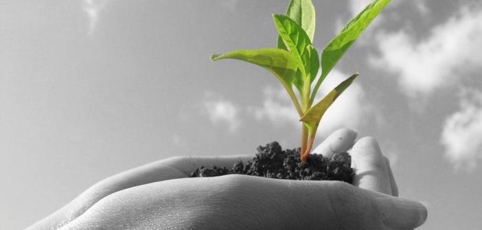 Life Counseling: Learn Ways to Live a Happier Life Counseling