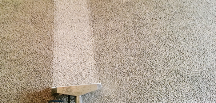 10 Carpet-Cleaning Secrets from the Pros Carpet Cleaners
