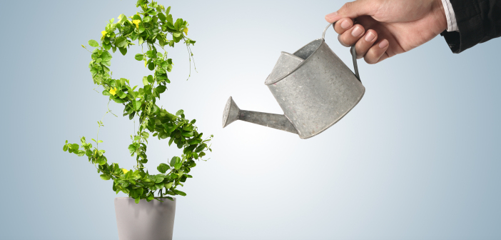 Handling Investment Opportunities Intelligently Investment