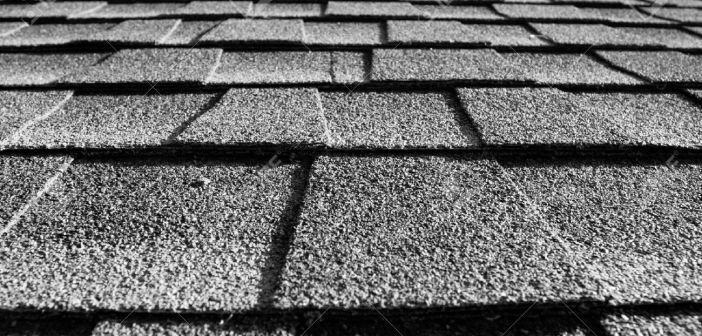Make a New Home Statement with New Roof Shingles Roof Shingles