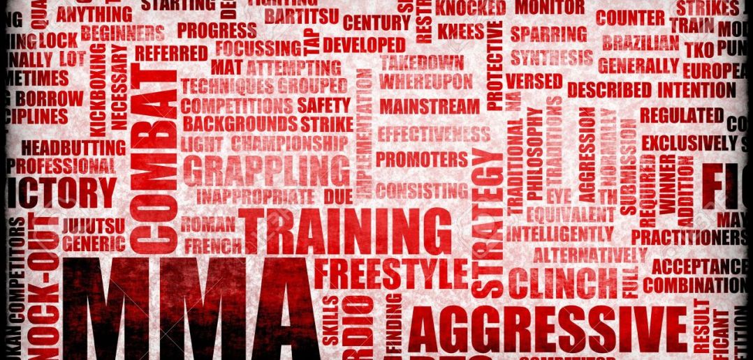 5 Essential Mixed Martial Arts Skills to Develop
