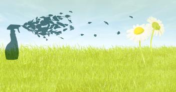 Green Cleaning Service