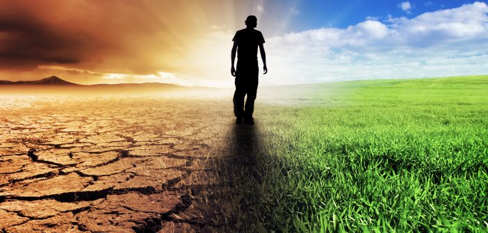 4 Surprising Facts about Addiction Recovery Addiction Recovery