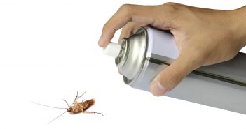 DIY Pest Control