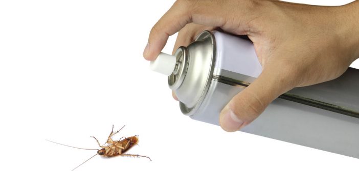 DIY Pest Control