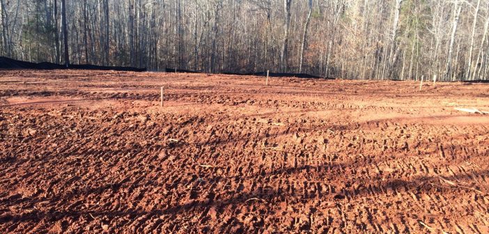 4 Important Reasons for hiring Professionals for Land Clearing Land Clearing