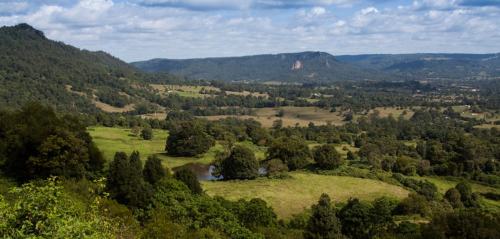 Land Management
