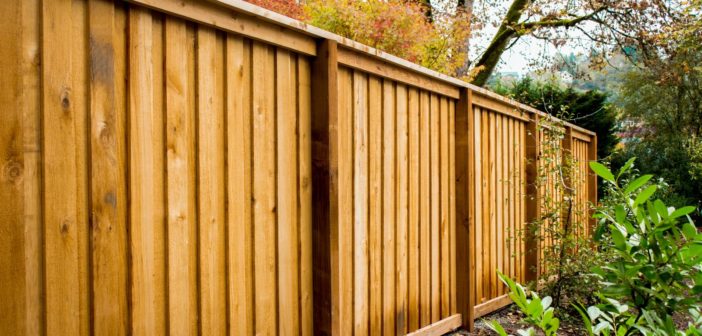 Fences