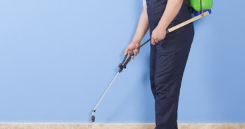 Man spraying insects- pest control