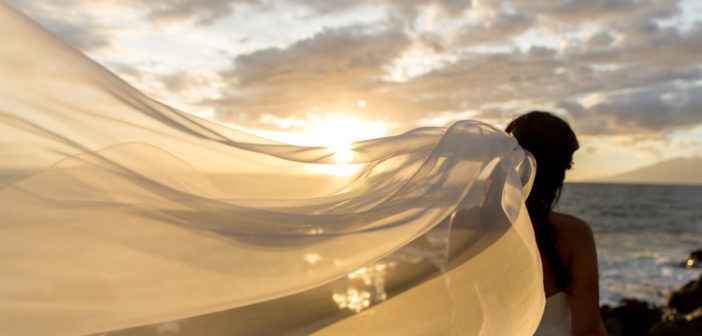 7 Important Questions to Ask Your Wedding Photographer Wedding Photographer