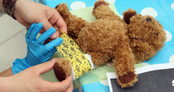 Charite Hospital Hosts Annual Teddy Bear Clinic