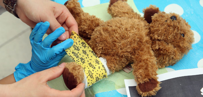 Charite Hospital Hosts Annual Teddy Bear Clinic