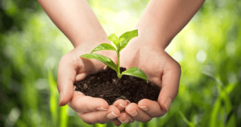 Natural Pest Control