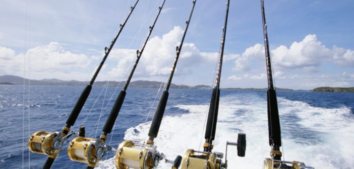 8 Qualities to Look For in a Fishing Charter Company Fishing Charter