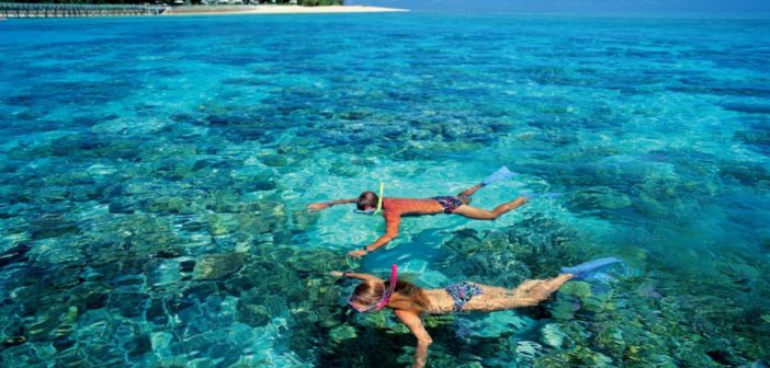 5 Things to Rent for Your Next Snorkel Adventure Snorkel