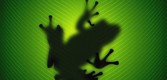 6 Simple Facts to Know About Kambô Kambo