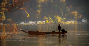 fischer-2880499_1920