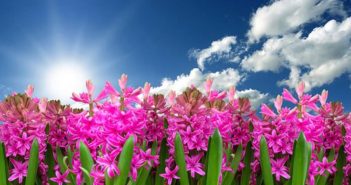 3 Common Ways Spring Wears on Your Roof spring