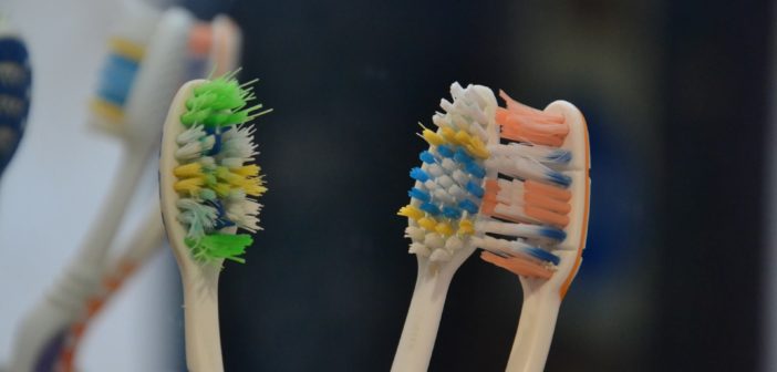 toothbrush-313768_1920