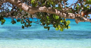 Top 5 Things To Do In Barbados barbados-92162_1920