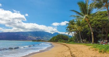 Top 8 Attractions to See In Maui maui