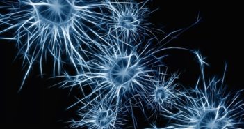 6 Great Benefits to Cognitive Behavioral Therapy brain1