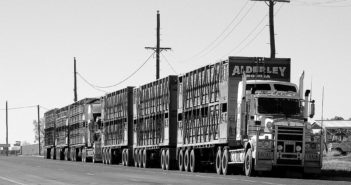 4 Things Everyone Should Know About Freight Factoring freight