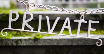 3 Simple Ways to Create Privacy in Your Yard privacy