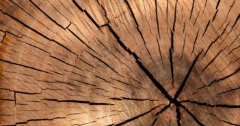 timber