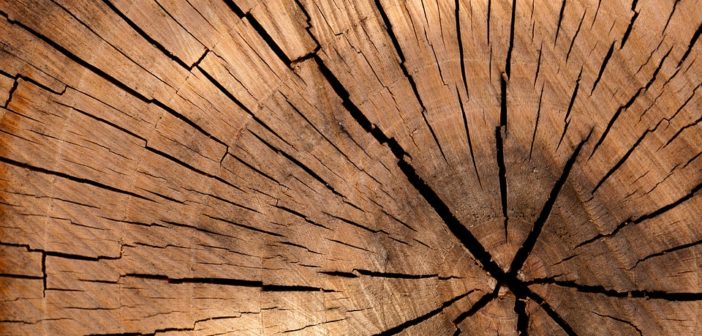 3 Things to Make Out of Reclaimed Timber timber