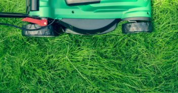 7 Important Reasons to Use a Professional Lawn Care Service daniel-watson-75022-unsplash