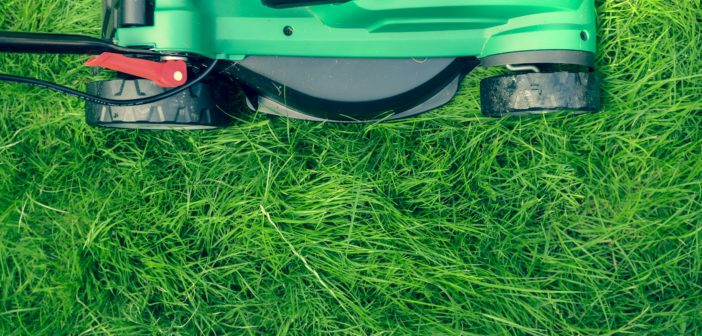 7 Important Reasons to Use a Professional Lawn Care Service daniel-watson-75022-unsplash