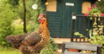 5 Great Uses for an Outdoor Storage Shed shed